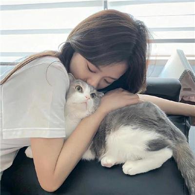 帐棚顶上的马戏团艺人